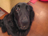 c0012120_2255799.jpg