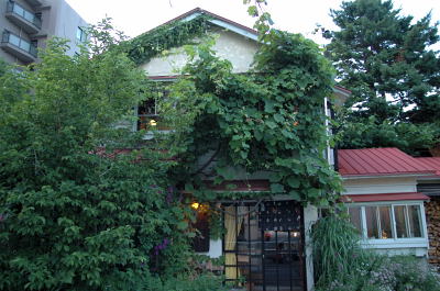 e0064128_8562293.jpg