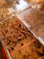 e0077634_1181461.jpg