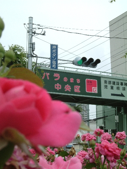 e0091334_22231314.jpg
