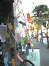 b0007841_030079.jpg