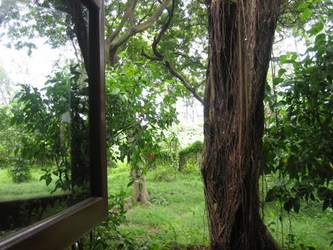 e0018143_54715.jpg