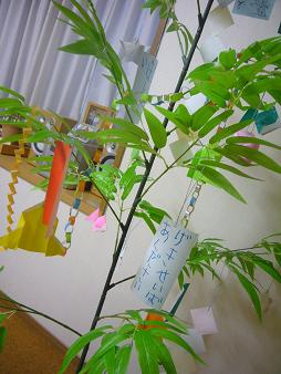 c0064647_174521.jpg