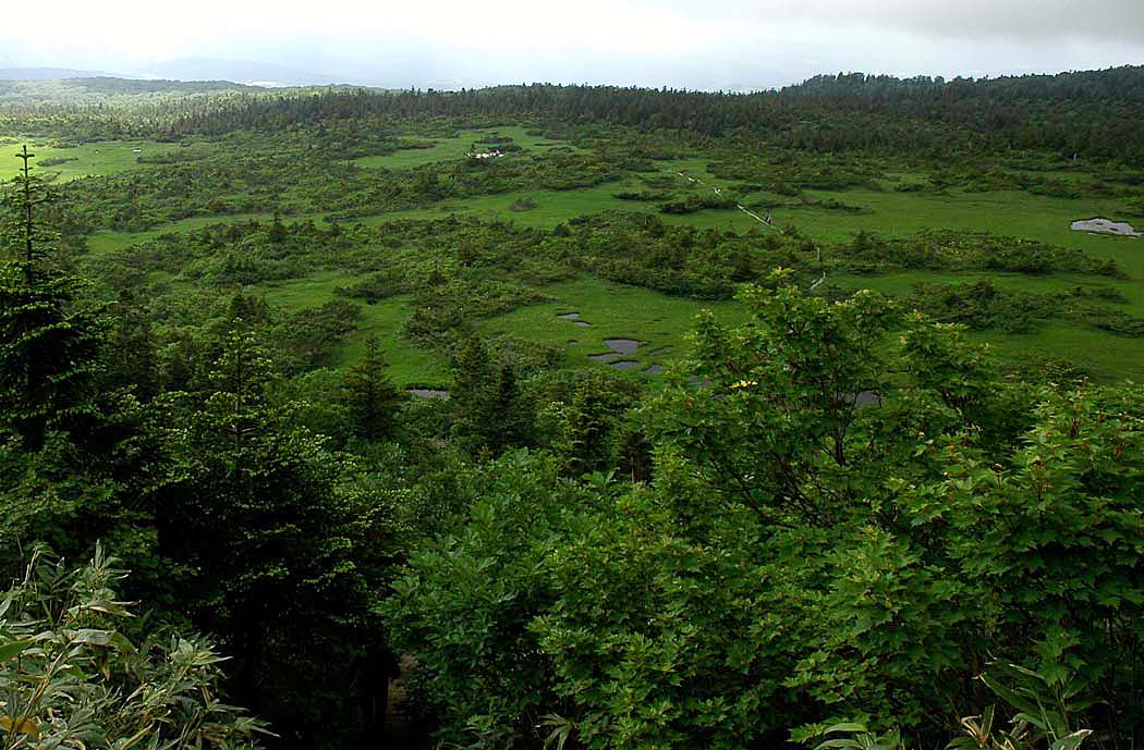 c0077847_1784482.jpg