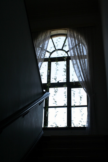 e0046147_178263.jpg