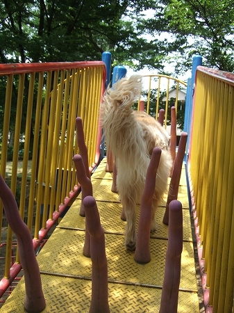 c0097558_105622.jpg