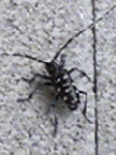 a0098862_2243971.jpg