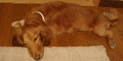 f0089568_14668.jpg