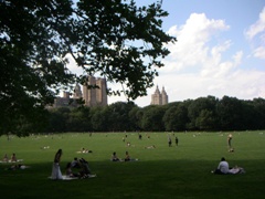 a0072371_13192866.jpg