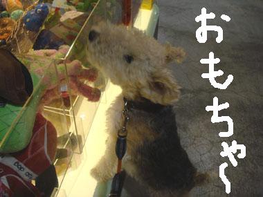 b0091373_1372570.jpg