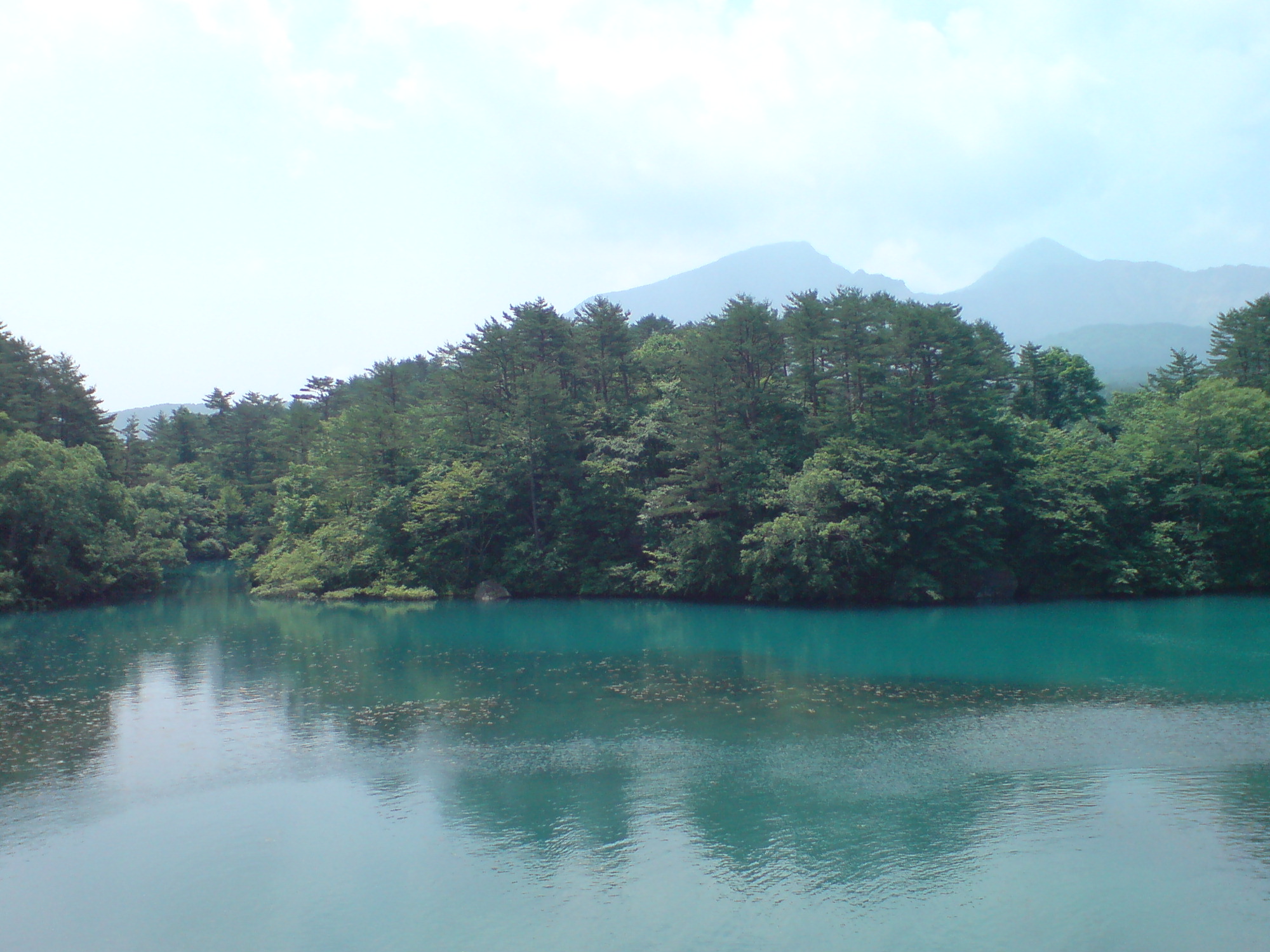f0137483_2320256.jpg