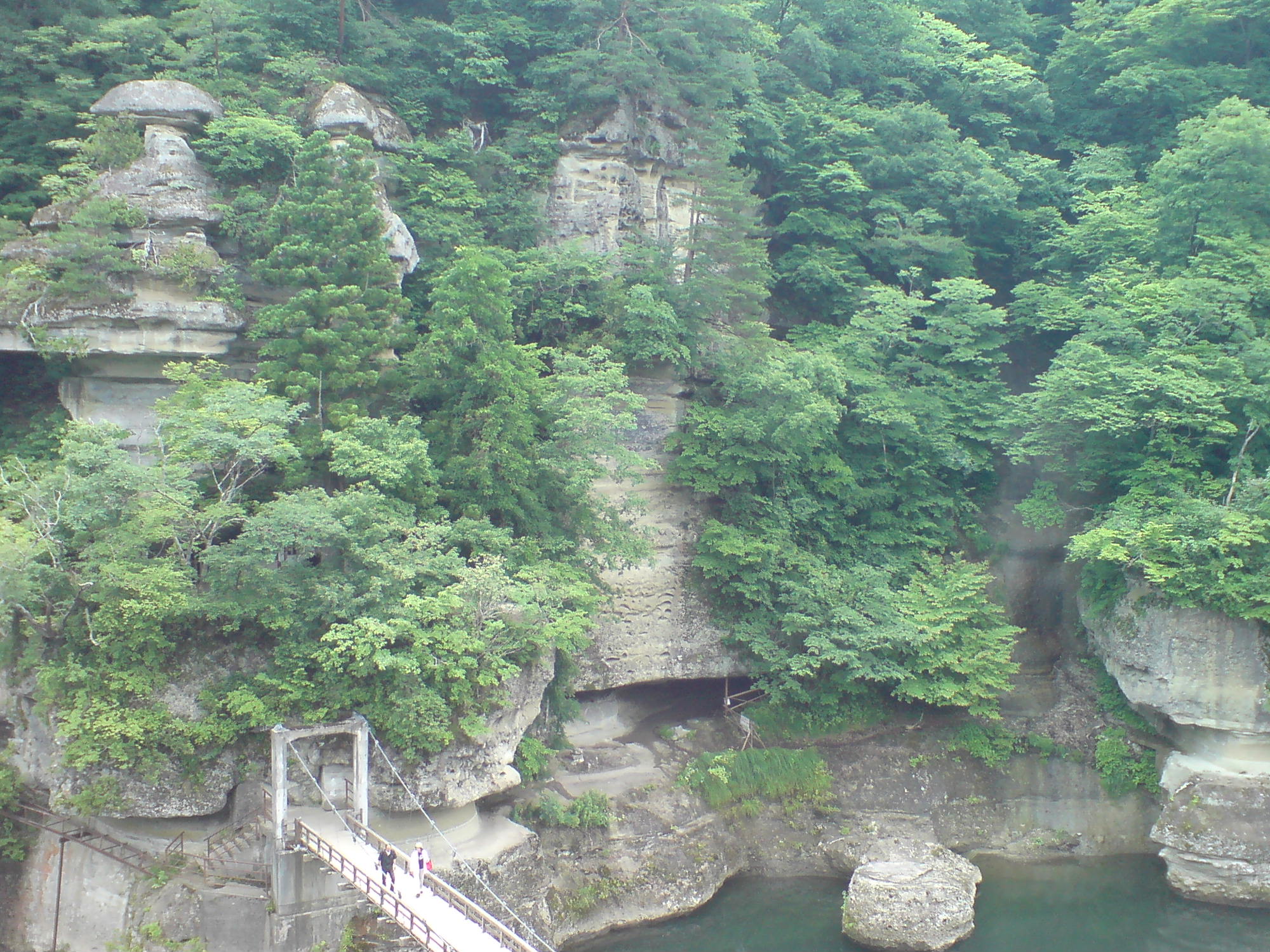 f0137483_5454723.jpg