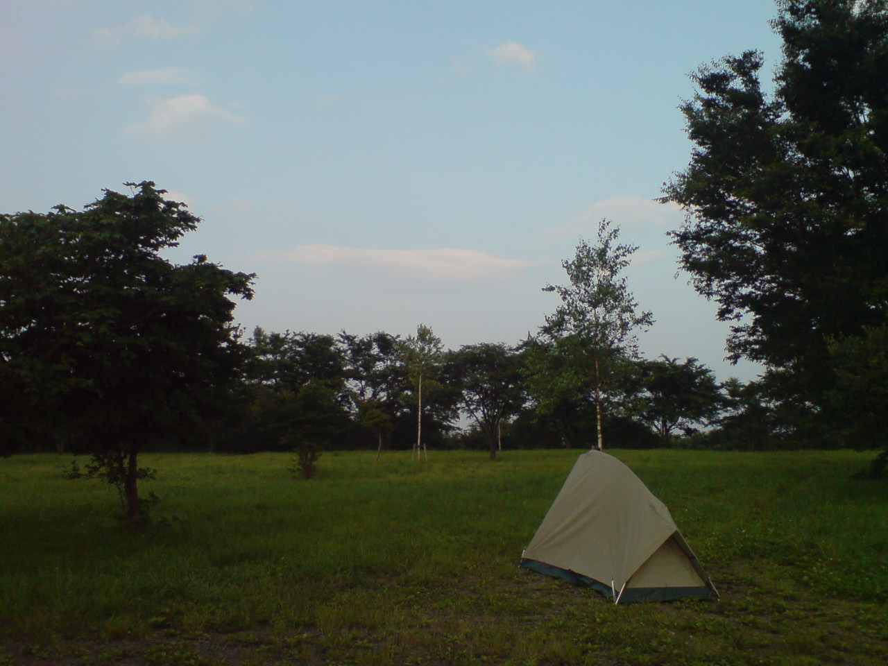 f0137483_551194.jpg
