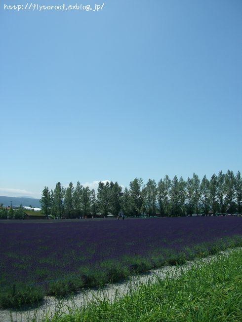 b0000885_10363048.jpg