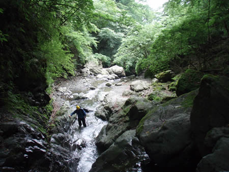 f0087787_6232363.jpg