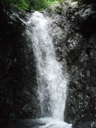 f0087787_6235346.jpg