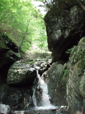 f0087787_623777.jpg