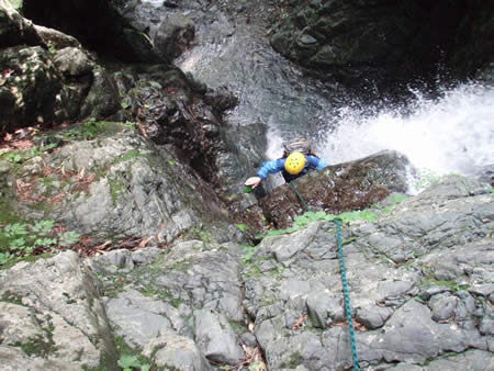 f0087787_624631.jpg