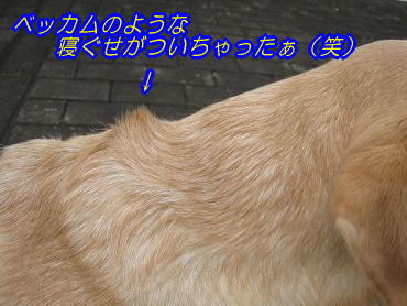 c0028792_21452979.jpg