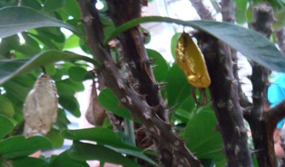 e0111793_2256151.jpg