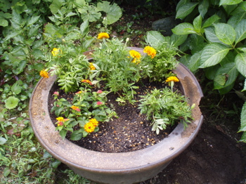 f0130894_21525595.jpg