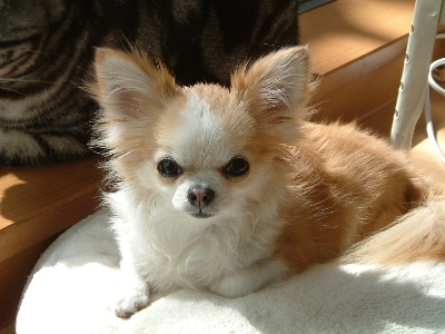 a0079803_2310165.jpg