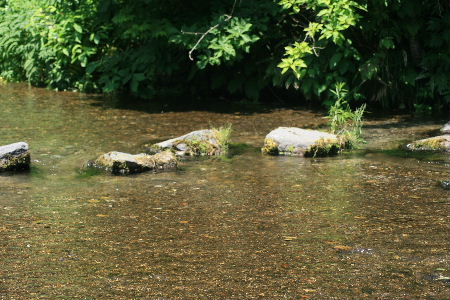 f0041606_21383559.jpg