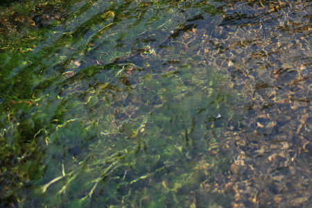 f0041606_2139519.jpg