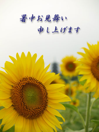 a0041508_12422846.jpg