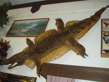 c0118210_2002999.jpg