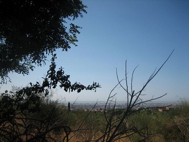 b0064411_20364063.jpg