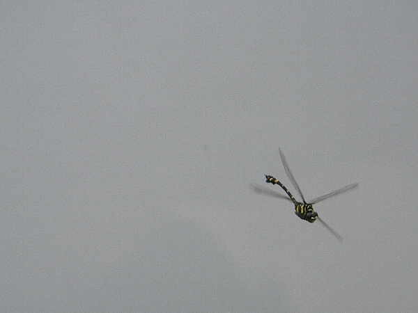 e0002314_21443925.jpg