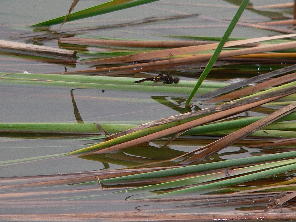 e0002314_214527100.jpg