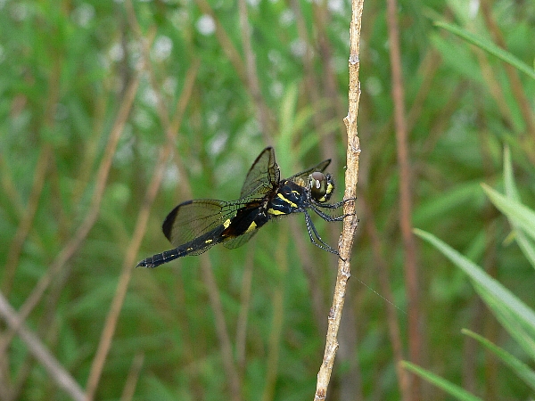 e0002314_2145924.jpg