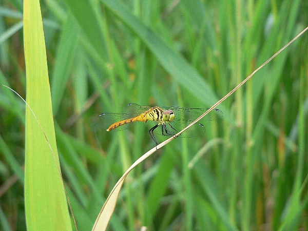 e0002314_21461822.jpg
