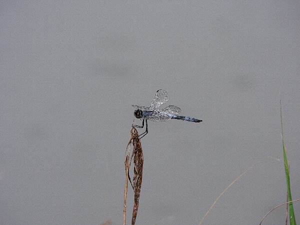 e0002314_21581845.jpg