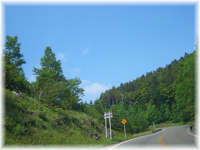 d0083623_9324757.jpg