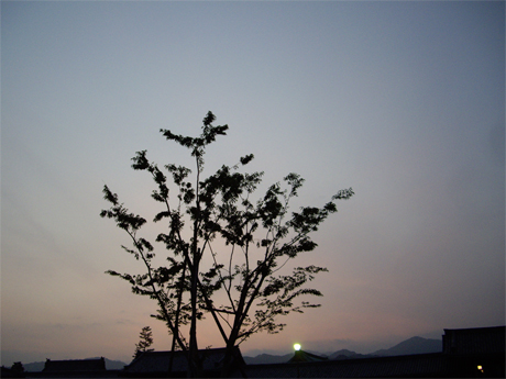 f0128527_6301045.jpg