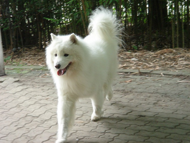 d0059028_21233782.jpg