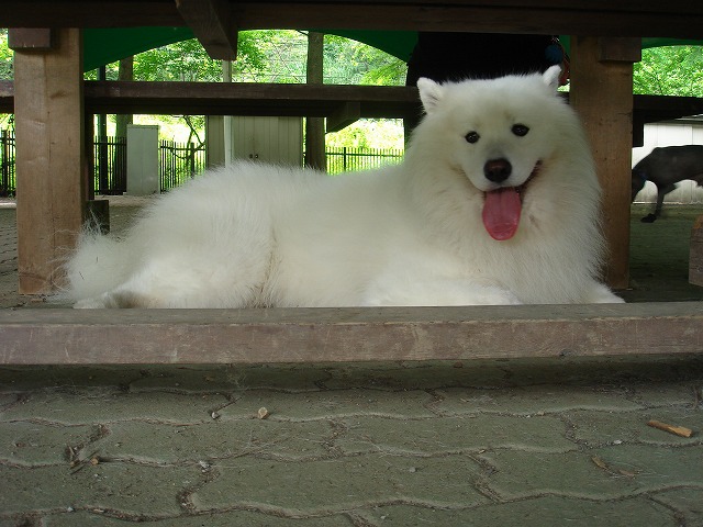 d0059028_21235018.jpg