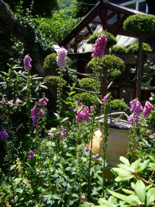 c0104529_23561681.jpg