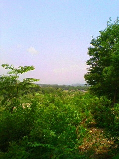 d0064329_22375235.jpg