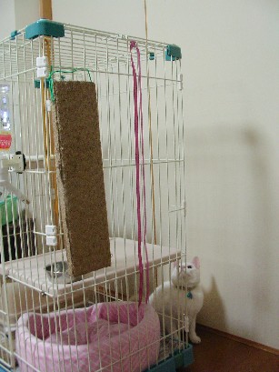 f0002833_0263586.jpg