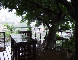 5月13日2階テラス