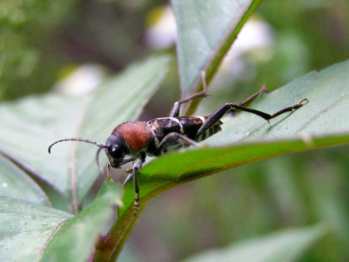 e0064158_0501466.jpg