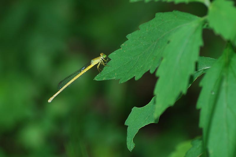 c0043361_2183520.jpg