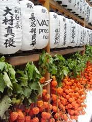 c0102268_0465512.jpg