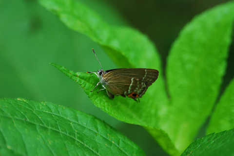 c0036878_2132789.jpg