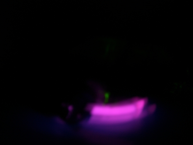 d0092388_15381664.jpg
