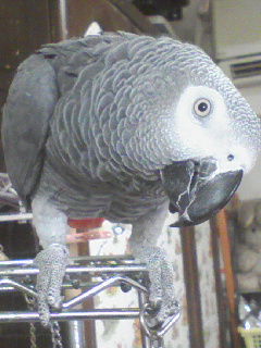 c0076490_22284149.jpg
